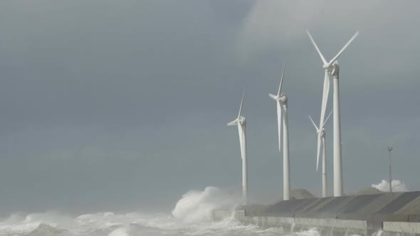 Wind turbines on coast alt