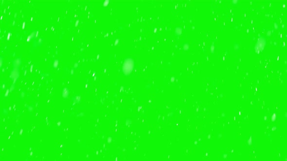 Real Snow on Green Screen, It Is Snowing in Cold Winter alt