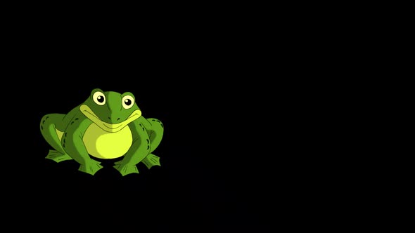 Little green frog croak and jumping alpha mate