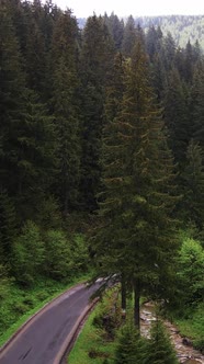 Carpathian Mountains alt