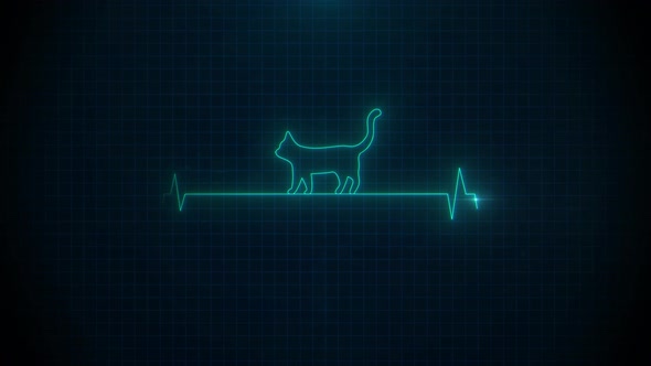Medical Pulse Heart Beat Cat Silhouette on Monitor