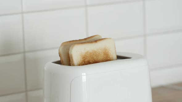 Roasted bread jump out from a white toaster on a table