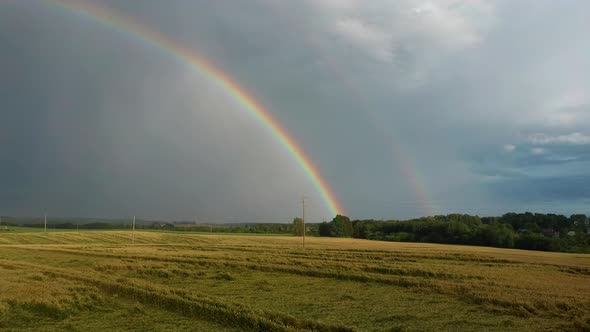  Flight Backward Ripe Crop Field After Rain and Colorfull Rainbow in Background alt
