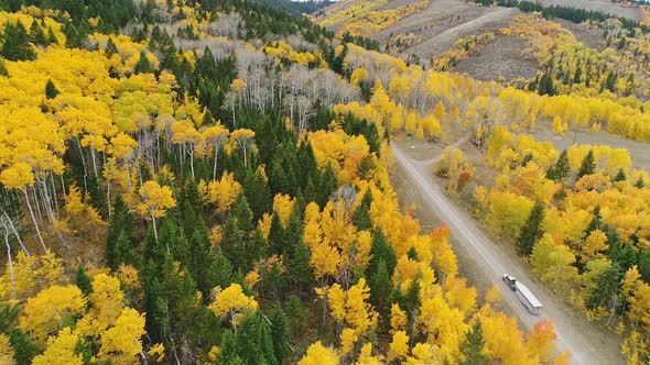 Flying over colorful Fall landscape following truck and horse trailer in Idaho alt