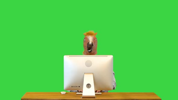 Businessman Work on Computer Wearing Horse Mask Busy Type or Read Emails and Reports at Workplace on