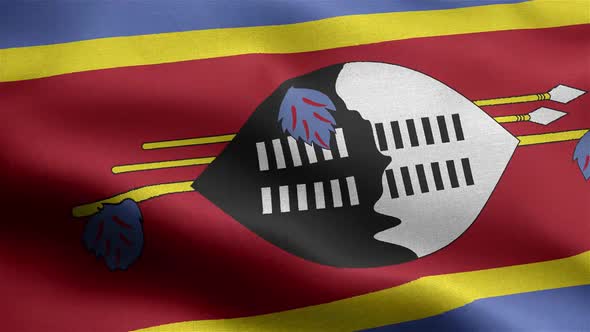 Eswatini Flag Seamless Closeup Waving Animation alt