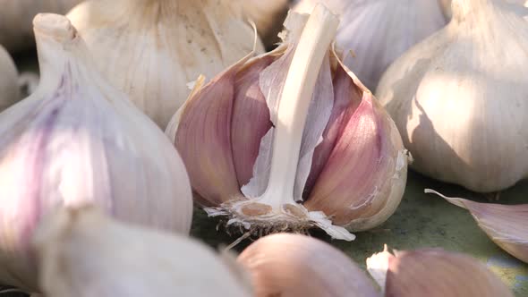 White Garlic Heads Heap