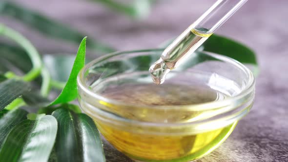 Drop Falls From a Pipette Into a Cosmetic Bottle alt