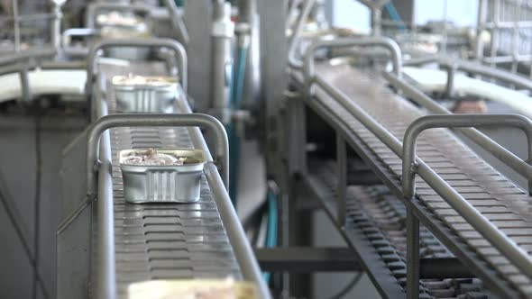 Canned Fish Production Line 40