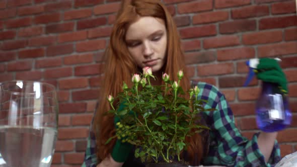 Beautiful Redhead Girl Looking After Flowers