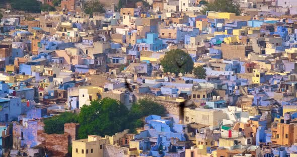Houses of Famous Jodhpur the Blue City, Mehrangarh Fort Walls and Birds. View From Mehrangarh Fort alt