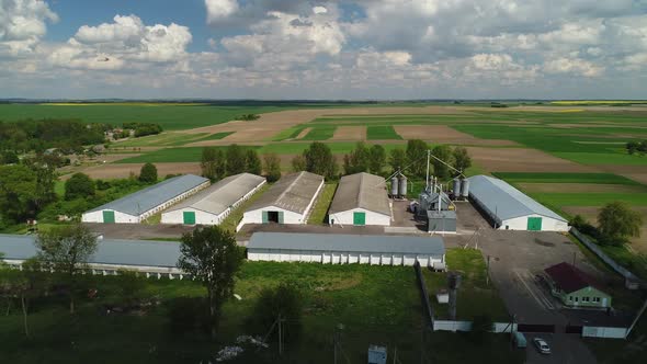 Flight to the Farm Buildings and Elevator on a Sunny Day