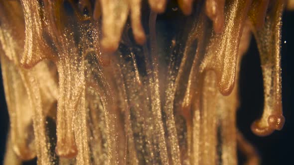 Golden Ink Particles Flows in Water As Colorful Chaos on the Black Background alt