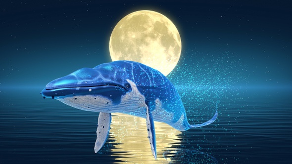 Sea Yellow Moon Whale Under Blue Sky