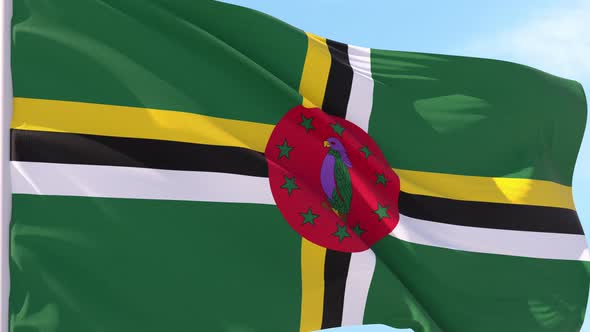 Dominica Flag Looping Background