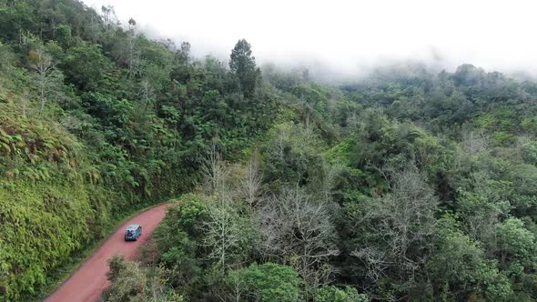 Traveling by Van Through the Foggy Jungle