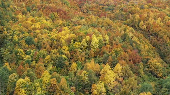 Aerial View Beatiful Autumn Background