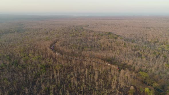 Highway Among the Forest alt