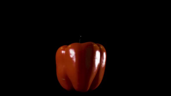 One red bell pepper spins around itself. Concept for veganism and vegetarian, healthy eating. alt