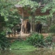 Elephants in Phuket Thailand - VideoHive Item for Sale