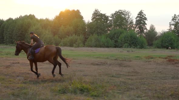 Woman Riding Horse By Gallop at Sunset alt