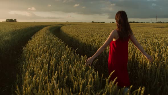 Beautiful Woman in a Red Dress Walks Across the Field of Ears