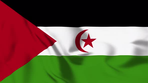 4K Western Sahara Flag - Loopable