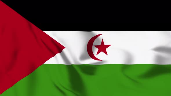 4K Western Sahara Flag - Loopable alt