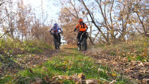 Motorcyclists Riding Fast on Their Motorbikes Through Autumn Forest. Friends Having Active Rest in alt