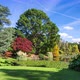 Autumn landscape in Sheffield Park and Garden. Uckfield, East Sussex, England, UK. - VideoHive Item for Sale
