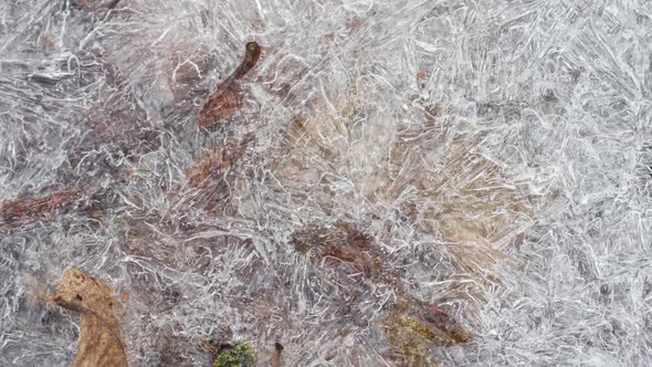 Cracked Ice Texture with Frozen Autumn Leaves Closeup Slow Motion alt