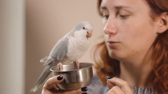 Young Woman Kisses and Pets Light Blue Quaker Parrot Who Eats From Feeder alt