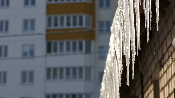 Icicles Hanging From Roof Begin to Melt With the Coming of Spring