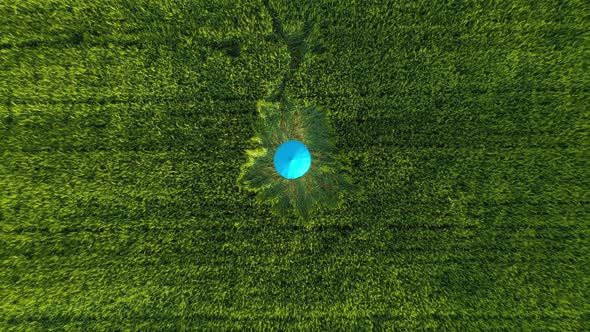 Aerial view of a person with an umbrella in a grassland field, Belgium. alt