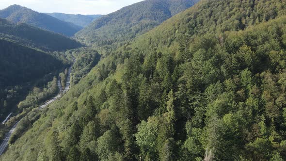 Nature of Ukraine: Carpathian Mountains Slow Motion. Aerial View alt