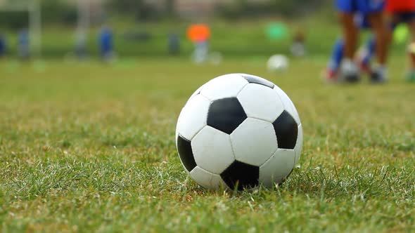Soccer Ball On The Grass