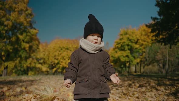 Little Boy Stands and Walks to Camera in the Yellow Autumn Park on a Sunny Day alt