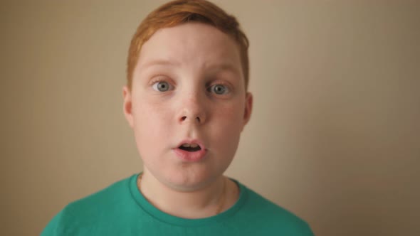 Little Redhaired Boy Looking Into Camera with Wow Expression Indoor alt