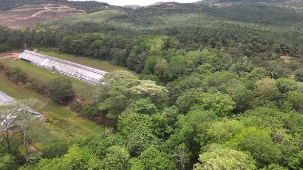 Aerial view of chicken farm, forest and hills in Malacca