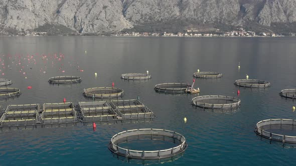 Pasture type of fish farm