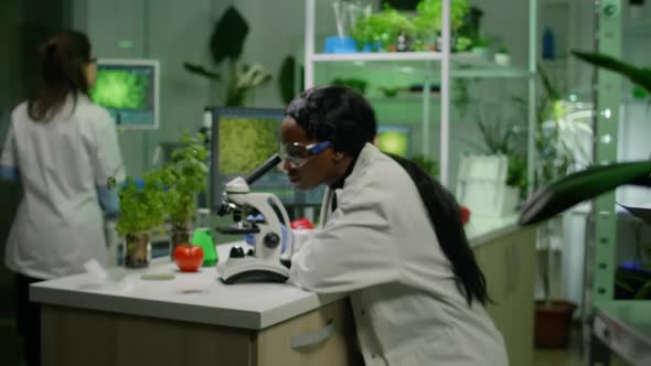 Biologist Researcher Examining Organic Leaf Slide for Medical Expertise alt