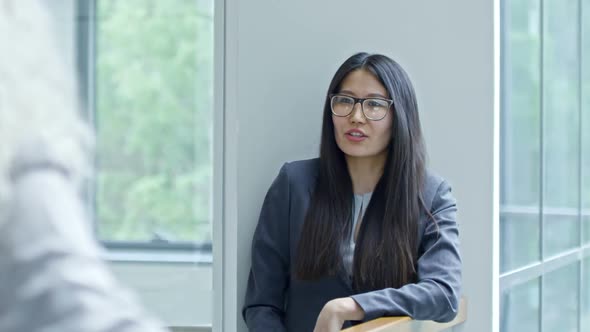Cheerful Businesswomen Chatting alt