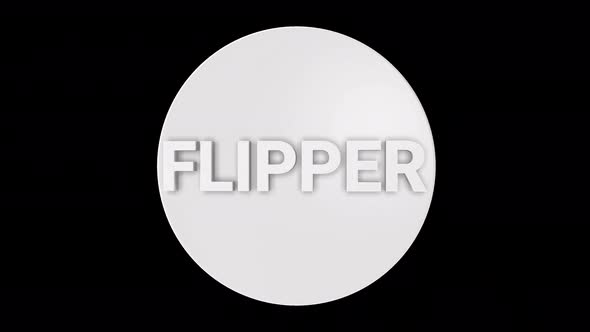 Flipper Nft Rotating Looping 4K