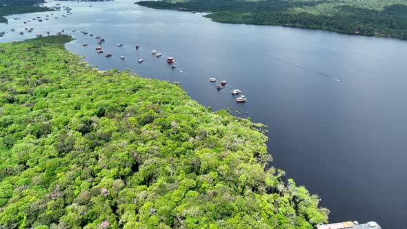 Stunning landscape of Amazon Forest at Amazonas State Brazil. alt