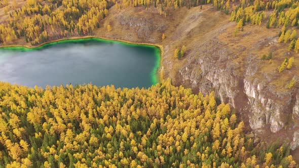 Lake Uchkel Yellow Larch Forest Autumn alt