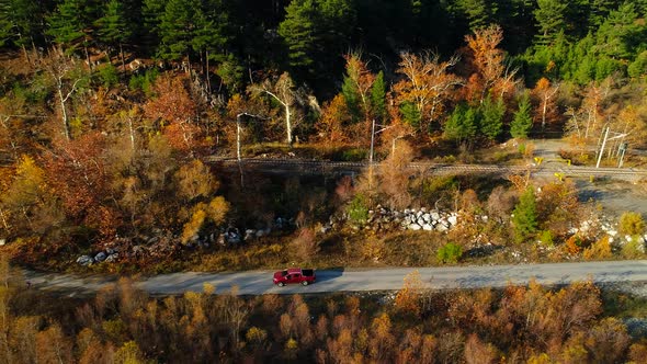 Exploratory Car Driving alt