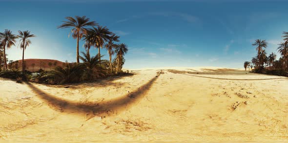 VR360 View of Palm Oasis in Desert alt