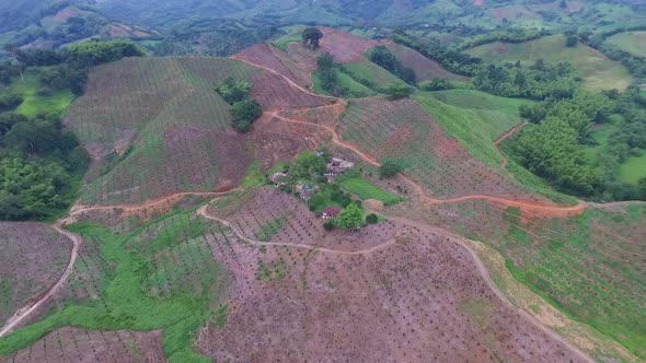 Orange Aerial Drone  alt