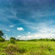 Passing Clouds Over Grassland With Row Of Electric Pole Along The Street - VideoHive Item for Sale
