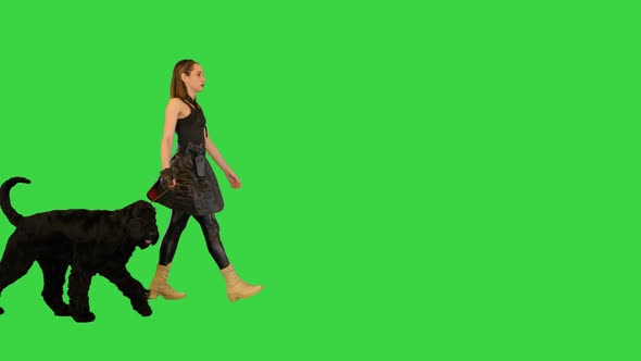 A Girl in a Cyberpunk Outfit Walking with Her Black Giant Schnauzer on a Green Screen Chroma Key